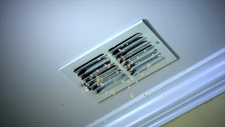 Best HVAC Duct Inspection Services  in Quincy, CA