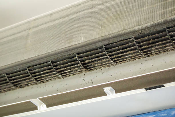 Best Affordable Air Duct Cleaning  in Quincy, CA